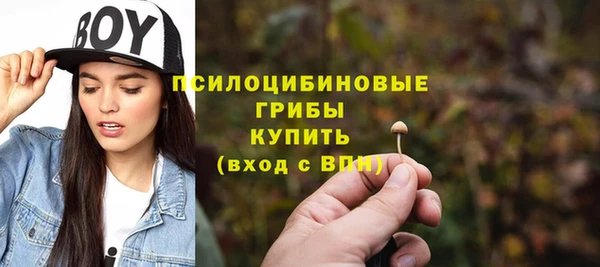 прущая мука Елизово