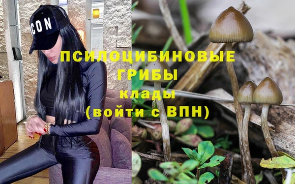 прущая мука Елизово